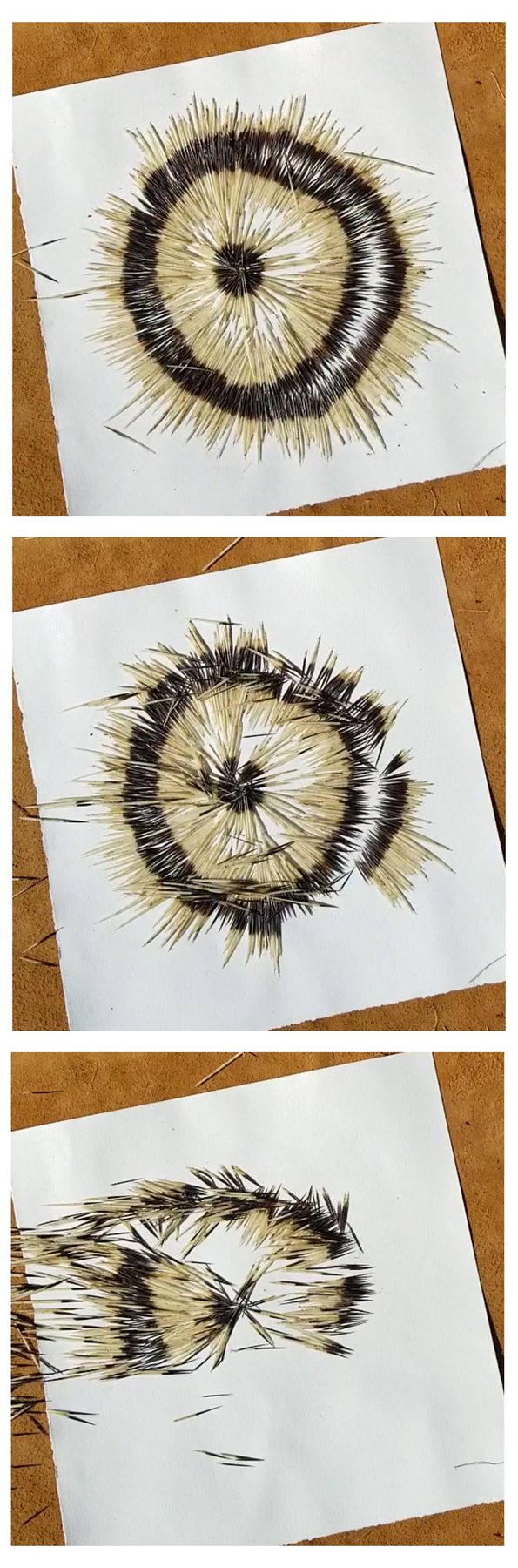 quill still 1